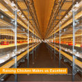 Galvanized Broiler Cage System